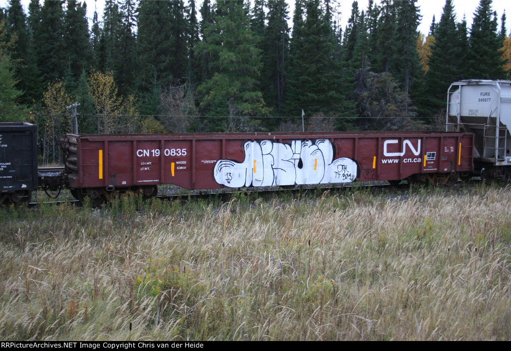 CN 190835